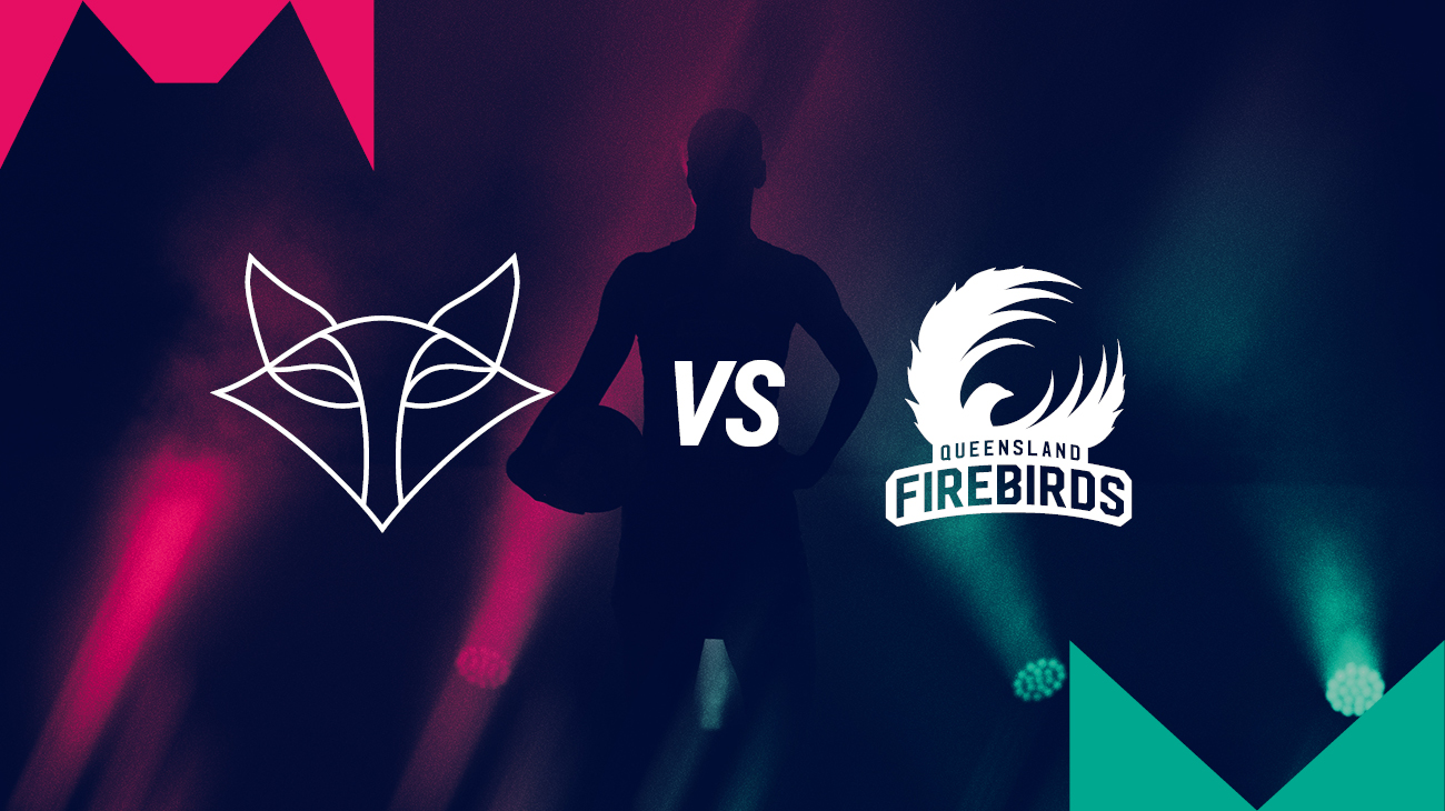 Melbourne Vixens vs Queensland Firebirds